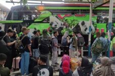 10b87011 3ff5 41b6 a1af e9e7b526228d