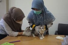 42bdca98 4351 4c4e b831 2df2f1763362