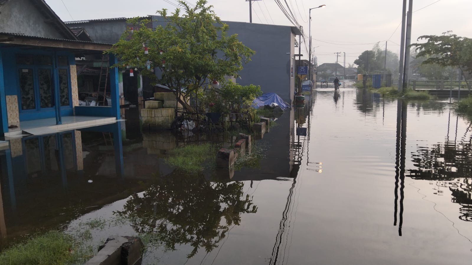 ae621e56 2fca 449b bcd5 8e253792d26c