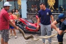 80249827 d461 4341 b233 de5f9a5ee326