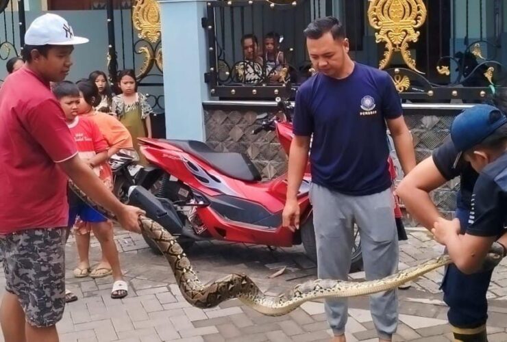 80249827 d461 4341 b233 de5f9a5ee326