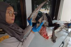 da336003 5d74 4b3e b979 0a751a084f94