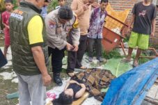 f1d3f4fa 4b71 431b beff 24c7cf1a020c