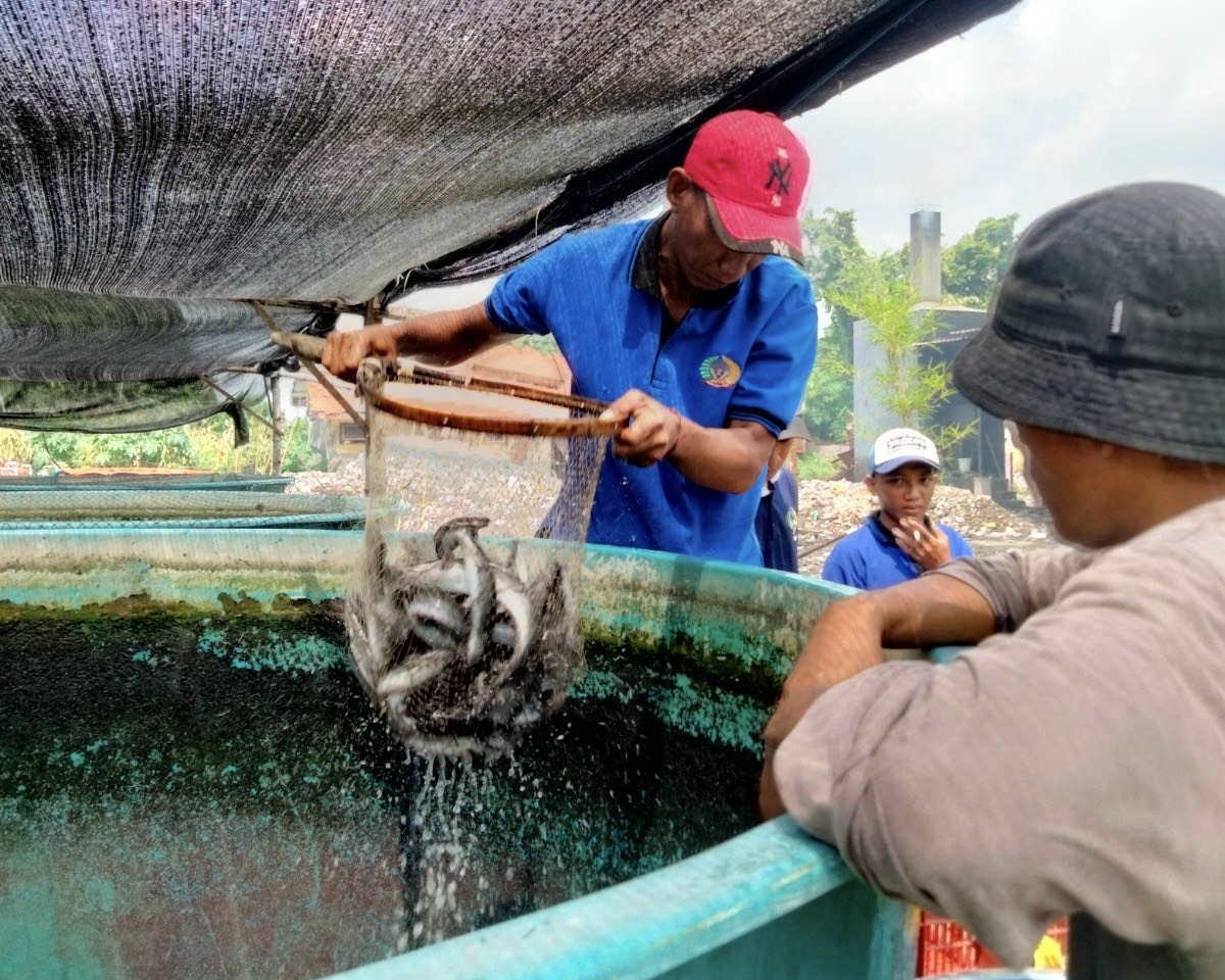 b50dfc8e 76f3 4f7b 853e a1db25c2c82d