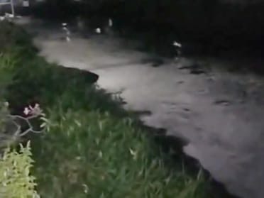 ce6c8c99 1c5e 4be0 b362 0a0acfb19336