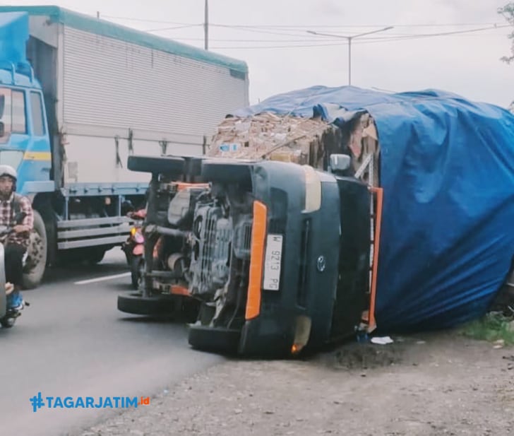 Diduga Kelebihan Muatan, Mobil Pikap Terguling di Jalan Raya Gilang Sidoarjo